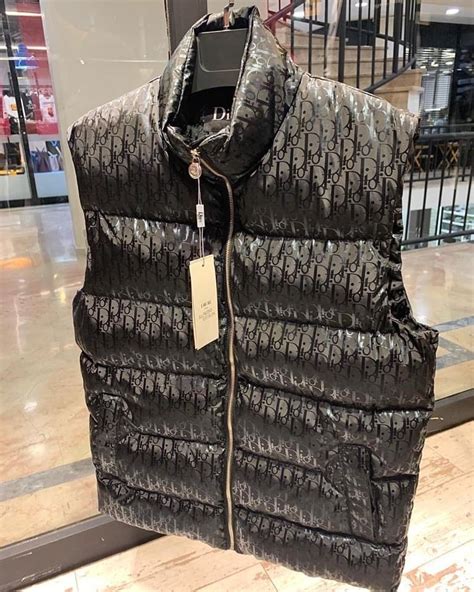 dior gilet